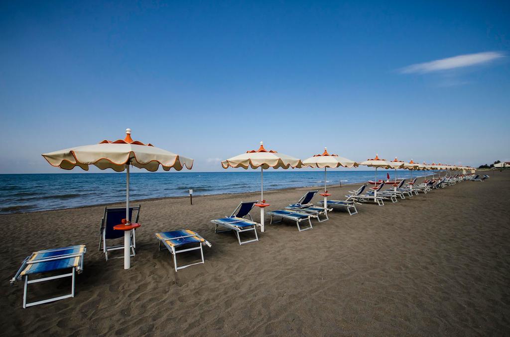 Gabbiano Porto San Giorgio